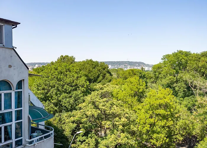 California 瓦爾納